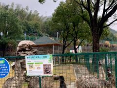 -达蓬山星梦乐园