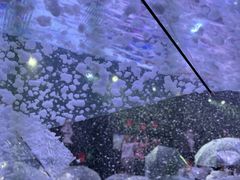 -M-MIX电音烤吧