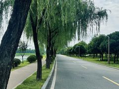 -洨河生态公园
