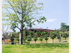 -白石龙音乐公园
