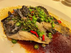 海多宝鱼-利苑酒家(合景国际金融广场店)