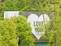 -铁山坪森林公园