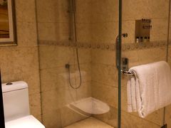 -深圳湾科技园丽雅查尔顿酒店