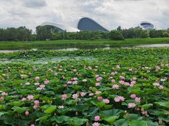 -哈尔滨大剧院