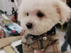 -BABIT巴比特宠物(MOMOPARK店)