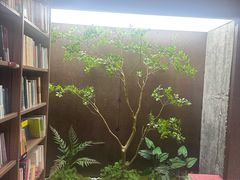 -扶光书店(中环店)