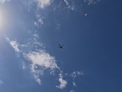 -春花秋色城市公园