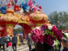-曹州牡丹园
