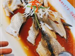 -丹江渔村(望京店)