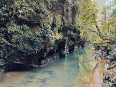 -怀托摩萤火虫洞