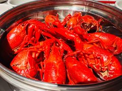 -龙巢盱眙龙虾·牛蛙·烧烤宵夜(八卦岭店)