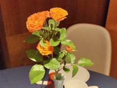 -栾氏荟(柳园店)