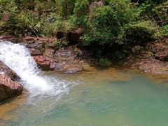 -广州白江湖森林公园