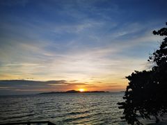 -卷心菜和避孕套餐厅(Pattaya)