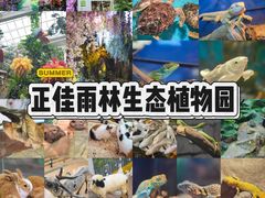 -正佳雨林生态植物园
