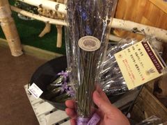 -富田农场