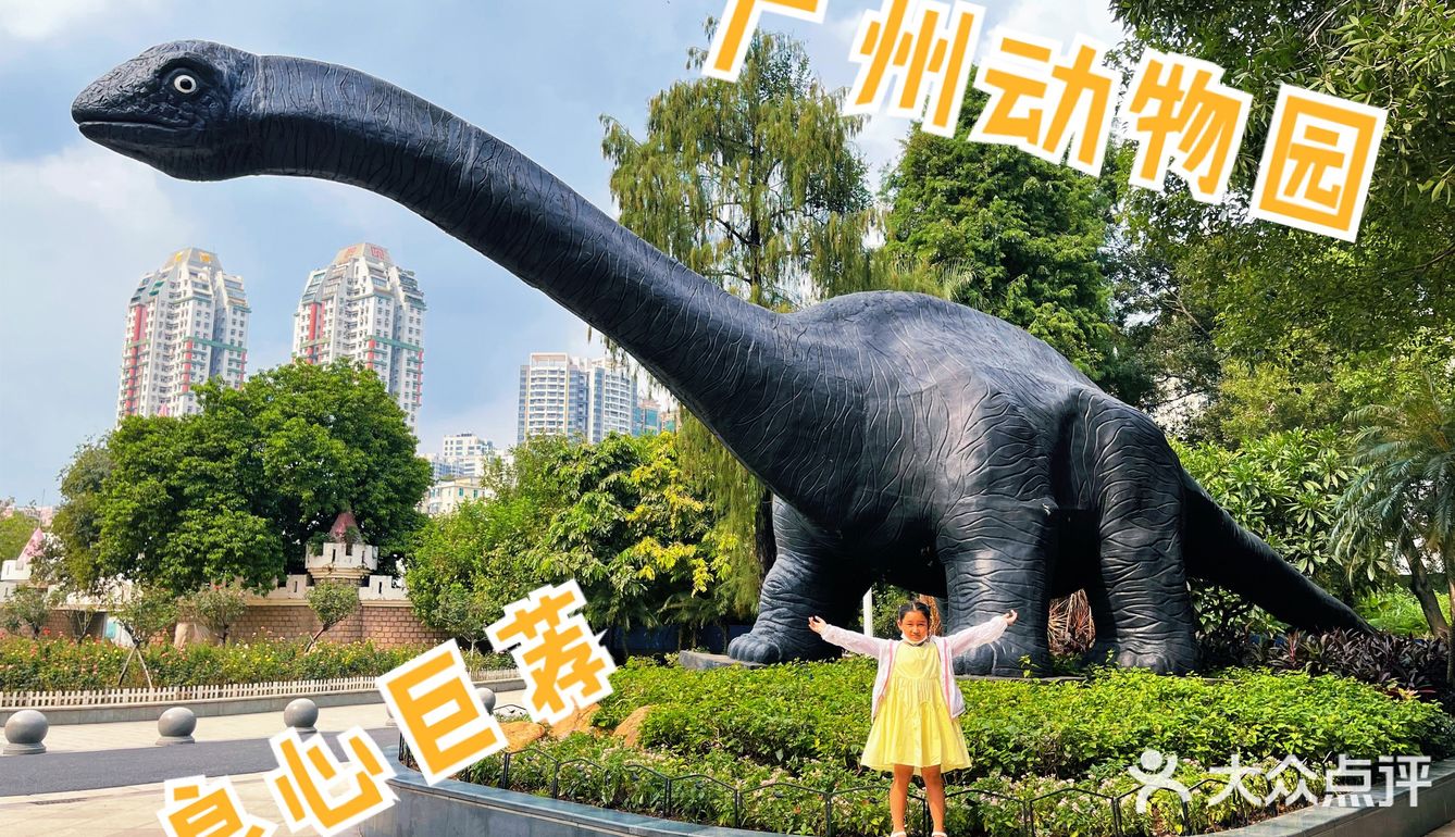 广州动物园20元门票，超抵，还要什么长隆野生动物园！