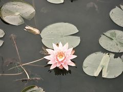 -南宁南湖公园
