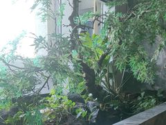 -海立阁海鲜江浙菜(漕河泾印象城店)