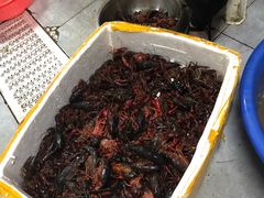 门口正在处理小龙虾-戴记龙虾(天泽街店)