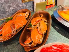-牛New寿喜烧(金鹰世界店)