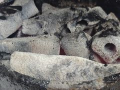 -大槐树烤肉馆(美术馆店)