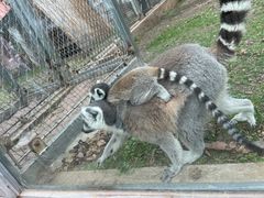 -哈尔滨北方森林动物园