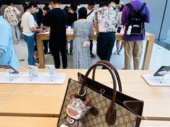 -Apple零售店(成都太古里店)