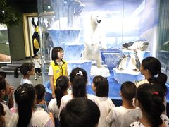 -国家自然博物馆