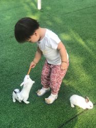 -萌宠亲子动物乐园(槐房万达店)