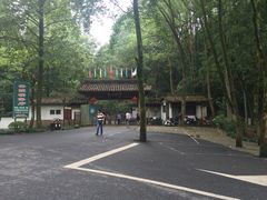 iphone_upload_pic-灵栖洞天
