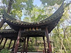 -上海佘山国家森林公园天马山园