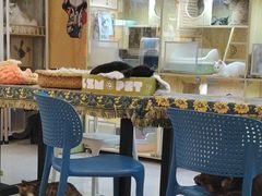 -平行世界·猫咖(首经贸店)