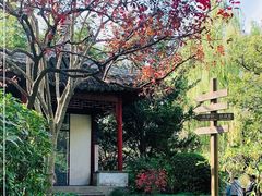 -秋霞圃