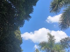 -南宁南湖公园