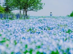-上海辰山植物园