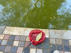 -酷鱼垂钓CLUB(朝阳区博大路店 )