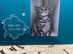 -美联众合动物医院·24h转诊中心