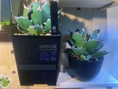 -Rabbit Cafe私房西餐甜点咖啡(栖霞路店)