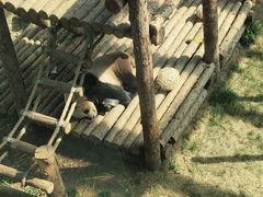 -大连森林动物园