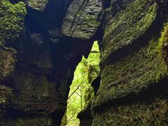 -梭布垭石林景区