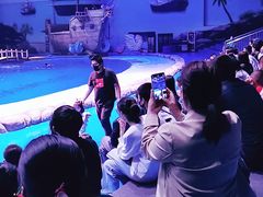 -华夏文旅海洋公园