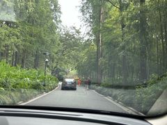 -柳莺湖上·湖景餐厅·江南菜(西湖店)