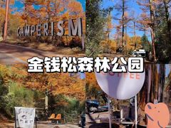 -老李家土菜馆·安吉地标美食