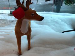 -一兆韦德健身(慧芝湖店)