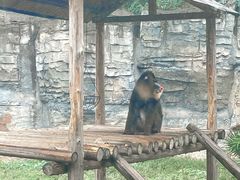 -杭州野生动物世界