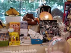 -瑞派·关忠动物医院(国瑞店)