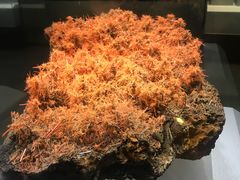 -湖南省地质博物馆