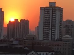 -上海市第四人民医院