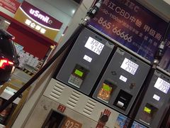 -中国石油徐东路加油站(武汉大道店)